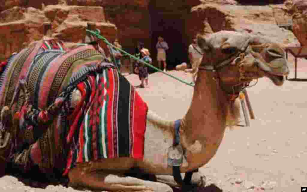 Unforgettable Trip to Petra, Jordan - a World Heritage Site