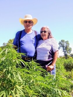 Photo shows Oglala Lakota hemp growers Alex and Debra White Plume standing in their hemp field on the Pine Ridge Reservation, S.D., August 29, 2019.