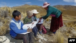 지난 7월 페루 안데스 산맥 코나비리 마을 어린이들이 온라인 수업을 듣기 위해 스마트폰 인터넷 신호가 잡히는 언덕에 모여있다.