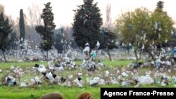 FILE - Sheep graze in a field covered with plastic bags blown from a nearby open waste dump in Entressen, near Marseille, France, Nov. 26, 2004.