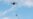 Drone-catchers Emerge on a New Aerial Frontier