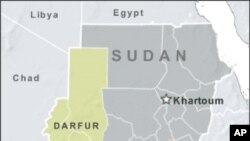 Sudan Reports Death of Darfur Rebel Group Leader
