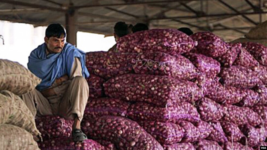 Seorang pekerja dari India duduk di atas karung bawang merah di sebuah pasar di India.Seperti di Indonesia, bawang merupakan bahan penting untuk hampir semua masakan.