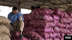 Seorang pekerja dari India duduk di atas karung bawang merah di sebuah pasar di India.Seperti di Indonesia, bawang merupakan bahan penting untuk hampir semua masakan.