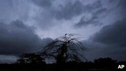 Mây đen ở Kochi, bang Kerala, Ấn Độ hôm 16/10. 