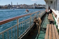 Boji, tengah berada di feri yang beroperasi di Istanbul, Turki, 5 Oktober 2021. (REUTERS/Murad Sezer)