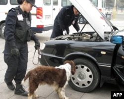 特警带警犬对记者车辆进行安检