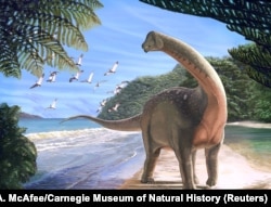 Artist's life reconstruction of the titanosaurian dinosaur Mansourasaurus shahinae on a coastline in what is now the Western Desert of Egypt approximately 80 million years ago is pictured in this undated handout image obtained by Reuters Jan. 29, 2018.