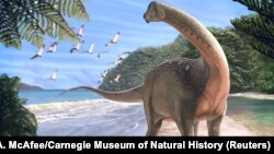 Artist's life reconstruction of the titanosaurian dinosaur Mansourasaurus shahinae on a coastline in what is now the Western Desert of Egypt approximately 80 million years ago is pictured in this undated handout image obtained by Reuters Jan. 29, 2018. 