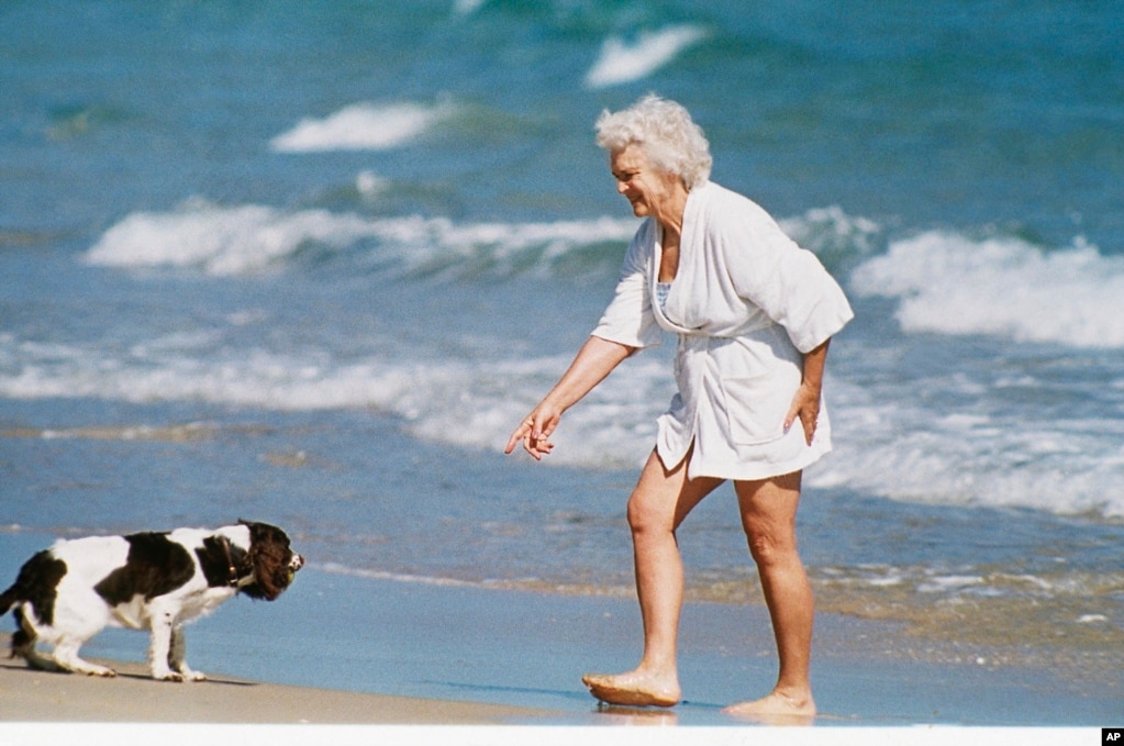 芭芭拉·布什（Barbara Bush）和她的愛犬米莉在佛羅里達州的海灘上（照片日期不詳）。