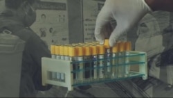 لویه پښتونخوا په ټي وي
