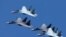 FILE - Sukhoi Su-35 jet fighters of the "Sokoly Rossii" (Falcons of Russia) aerobatic team fly in formation during a rehearsal for the airshow in Krasnoyarsk, Russia, Aug. 1, 2019.