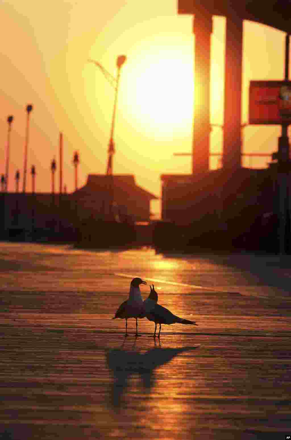 The sun rises over the Boardwalk in Atlantic City, N.J.