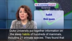 Phát âm chuẩn - Anh ngữ đặc biệt: Humans Sleep Better than Other Mammals (VOA)