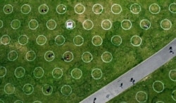 An aerial view shows a field with painted circles for social distance at the Rhine promenade in Duesseldorf, western Germany on July 12, 2020.