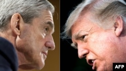 Trump - Mueller 2018