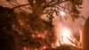 Api kebakaran lahan melalap sebuah pagar di Highway 1 dekat Big Sur, California, Sabtu, 22 Januari 2022.