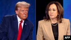 ABD'de 5 Kasım başkanlık seçimine yaklaşık bir hafta kaldı. Donald Trump dün New York'ta, Kamala Harris ise Philadelphia'a miting düzenledi.