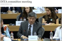 TS. Nguyễn Quang A phát biểu tại một phiên điều trần của INTA về EVFTA ở Brussels.