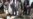 Afghan Taliban Uses Child Bomber at Start of Spring Offensive