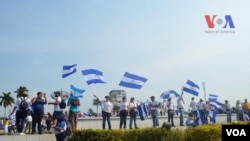 Oposición nicaragüense se agrupa en la coalición "Unidad Nacional Azul y Blanco". Foto: Donaldo Hernández - VOA