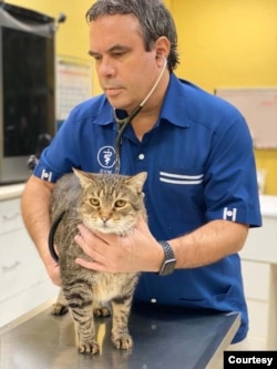 Veterinarian Jose Arce examines a feline patient at his clinic in San Juan, Puerto Rico.  Arce is also the president of the American Veterinary Medical Association.  (Courtesy American Veterinary Medical Association)