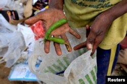 Ayoub Mohammed Ruzaiq found chili peppers at a garbage dump near the Red Sea port city of Hodeidah, Yemen, Jan. 09, 2018.