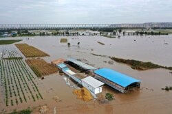 Sungai Kuning yang meluap di dekat Desa Lianbo di Kota Hejin, Provinsi Shanxi, China utara, Minggu, 10 Oktober 2021. (Zhan Yan/Xinhua via AP)