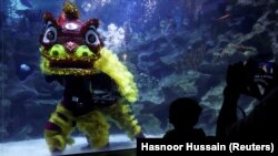 Orang-orang menonton barongsai di bawah air pada hari pertama Tahun Baru Imlek di KLCC Aquaria di Kuala Lumpur, Malaysia, 1 Februari 2022. (Foto: REUTERS/Hasnoor Hussain)