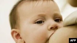 专家力荐母乳喂养婴儿。