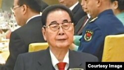 中国前总理、前人大常委会委员长李鹏 （资料图片）