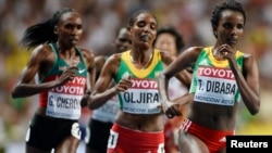 faayil footoo:Xurunesh Dibaba mirga,Belaynesh Oljira jidduu fi Gladys Cherono Keenyaa dorgommii bara 2013