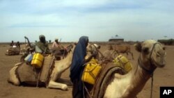 Somali women load water containers on camels near the Wanlaweyn district in the lower Shabelle region, 90 kms south of Mogadishu, 19 Jan 2011