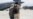 US to End Afghan Evacuation Flights Earlier Than August 31 Deadline