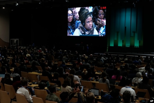 Nkiruka Maduekwe, CEO of Nigeria's National Council on Climate Change, speaks during a closing plenary session at the COP29 U.N. Climate Summit in Baku, Azerbaijan, Nov. 24, 2024.