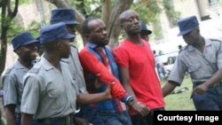 FILE: Occupy Africa Unity Square leaders Itai Dzamara (left) and Tichaona Danho (right) detained by police.