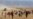 داعش، مردان یک روستای ایزدی را قتل عام کرد