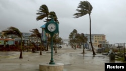 Palm trees blow from Tropical Storm Debby's bands, in Ft. Myers Beach, Florida, United States, August 4, 2024. Debby was later upgraded to a Category 1 hurricane.