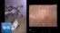 SM_MarsLanding