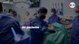 Un paciente en EE. UU. recibe el primer trasplante de corazón de un cerdo en la historia