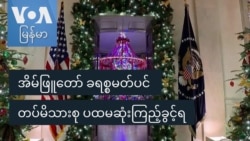 အိမ်ဖြူတော် ခရစ္စမတ်ပင် တပ်မိသားစု ပထမဆုံးကြည့်ခွင့်ရ
