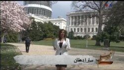 ادبيات فارسی، سياه بازی، نوروزها و بادبادكها