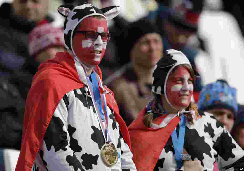 Swiss fans wear cow costumes and national flags at the Alpine ski venue for the men's supercombined at the Sochi 2014 Winter Olympics, Feb. 14, 2014.