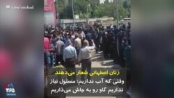 زنان اصفهانی شعار می‌دهند: «وقتی که آب نداریم؛ مسئول نیاز نداریم؛ گاو رو به جاش می‌ذاریم»