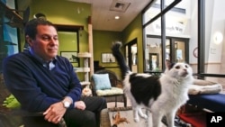 Dr. Gary Weitzman, presiden dan CEO San Diego Humane Society and SPCA dan penulis buku terbaru National Geographic "How to Speak Cat," mengamati perilaku Pepper, kucing hitam putiih yang tinggal di tempat penampungan Humane Society, Rabu, 8 April 2015, di San Diego. (AP Photo/Lenny Ignelzi)