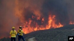 Se ordenó la evacuación de miles de personas por incendio forestal que amenaza a comunidades del norte de California. 