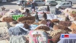 د کندهار انځیر