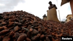 FILE - Men pour out cocoa beans to dry in Niable, at the border between Ivory Coast and Ghana.