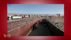 د ډیوه د روانو چارو خپرونه په ټي وي
