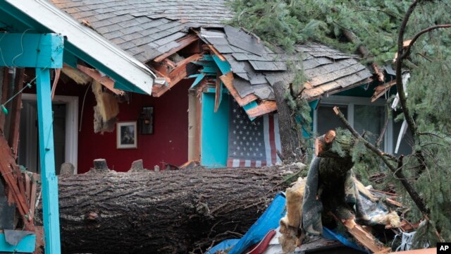 Una de las víctimas murió al caer un gran árbol sobre la habitación en que dormía, en Portland, Oregon.